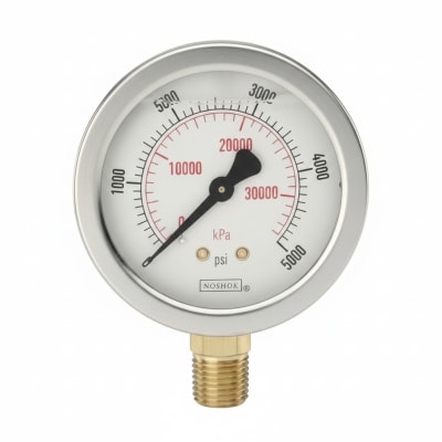 NOSHOK 25-901-600-PSI/KPA-GY40-CC