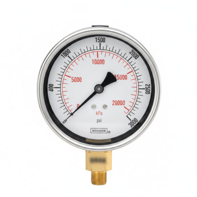 NOSHOK 25-901-600-PSI/KPA-SG-CC