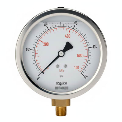 NOSHOK 25-911-40-BAR/PSI-G1/4-SG-BP3