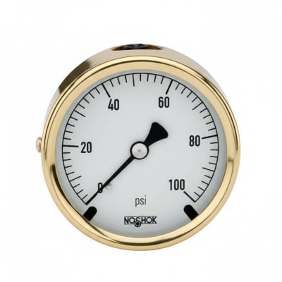 NOSHOK 25-310-600-PSI/KPA-GY40-BT8