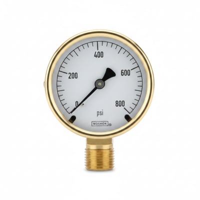 NOSHOK 25-310-600-PSI-MIP-BFF-BT8