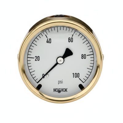 NOSHOK 25-310-600-PSI/BAR-BFF