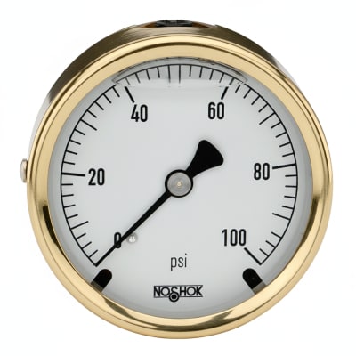 NOSHOK 25-310-600-PSI/BAR-CFF-CC