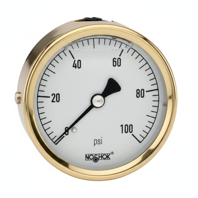 NOSHOK 25-310-600-PSI/BAR-GY40-CC