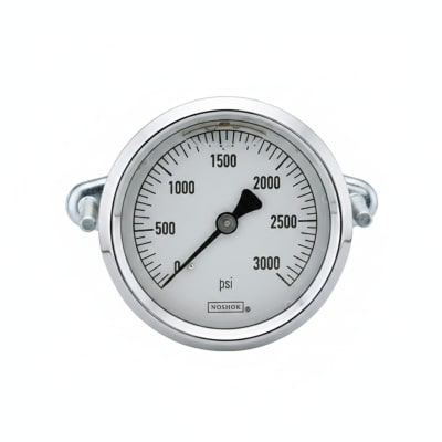 NOSHOK 25-310-600-PSI/BAR-MIP-CBU-BT8