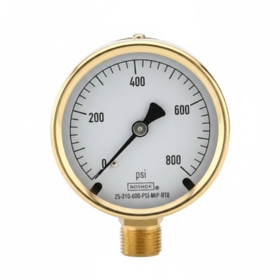 NOSHOK 25-310-600-PSI-MIP-BT8
