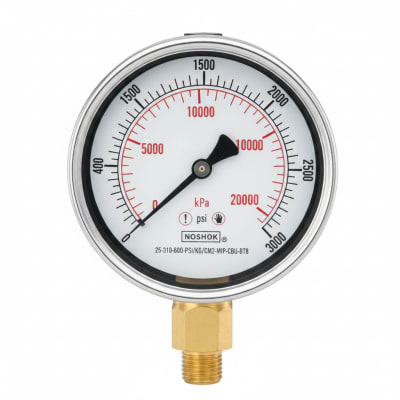 NOSHOK 25-310-600-PSI/KG/CM2-MIP-CBU-BT8