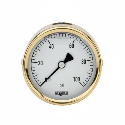 NOSHOK 25-310-400-PSI/BAR-HL