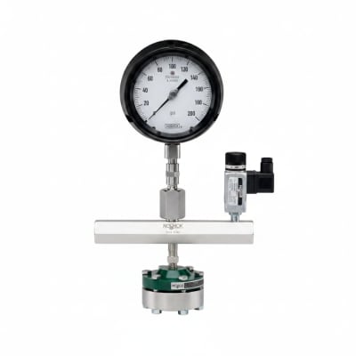 NOSHOK 25-310-600-PSI/BAR-BT3