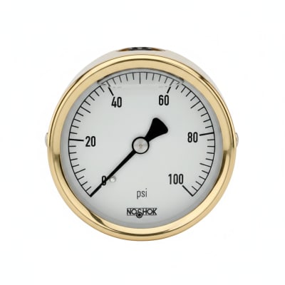 NOSHOK 25-310-600-PSI/BAR-BFF-CC