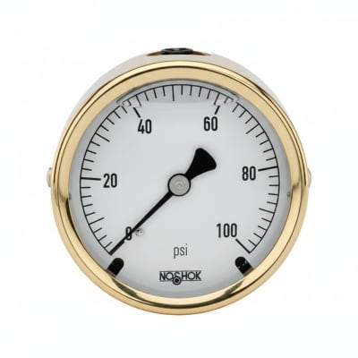NOSHOK 25-310-600-PSI/KPA-CBU-CC