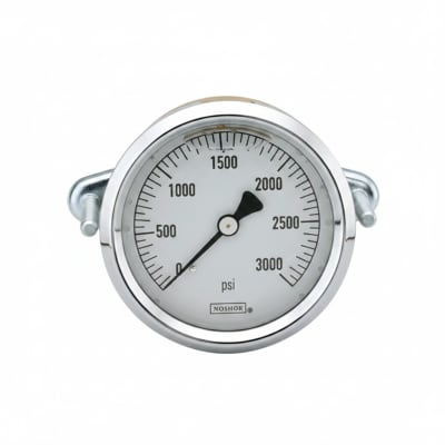 NOSHOK 25-310-600-PSI/KPA-BT8