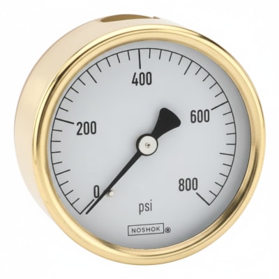NOSHOK 25-310-600-PSI/BAR-MIP-BFF-BT8-CC