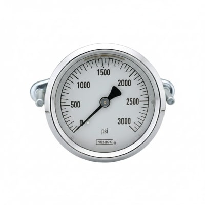 NOSHOK 25-310-600-PSI/BAR-MIP-CBU-BT8-CC