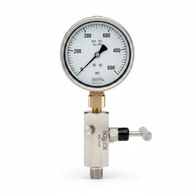 NOSHOK 25-310-600-PSI/KG/CM2-MIP-BT8