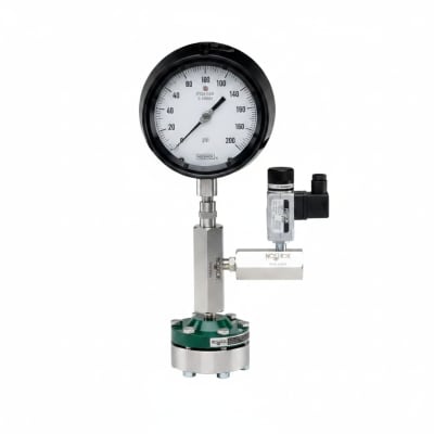 NOSHOK 25-310-600-PSI/BAR-MIP-CFF-BT8