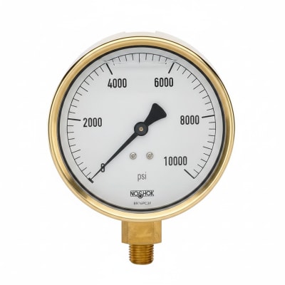 NOSHOK 25-310-600-PSI/BAR-MIP-CFF