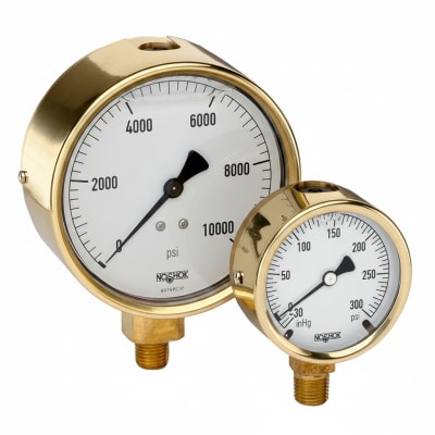 NOSHOK 25-310-600-PSI/KPA-MIP-CFF-CC