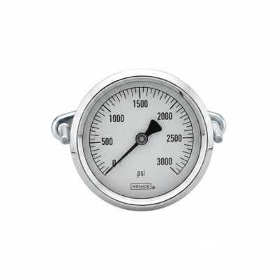 NOSHOK 25-310-600-PSI/KPA-GY40-CC