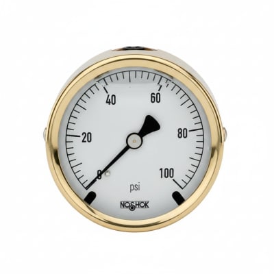 NOSHOK 25-310-100-PSI-MIP-BT8