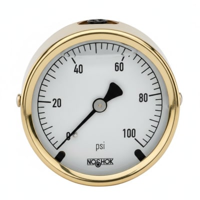 NOSHOK 25-310-100-PSI/BAR-CBU-CC