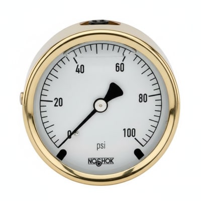 NOSHOK 25-310-100-PSI/BAR-CFF-BT8