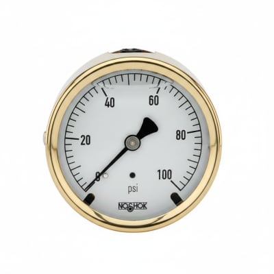 NOSHOK 25-310-100-PSI/BAR-MIP-BFF-BT8
