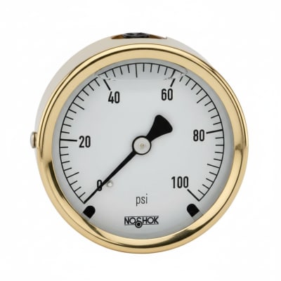 NOSHOK 25-310-100-PSI/BAR-MIP-CFF-CC