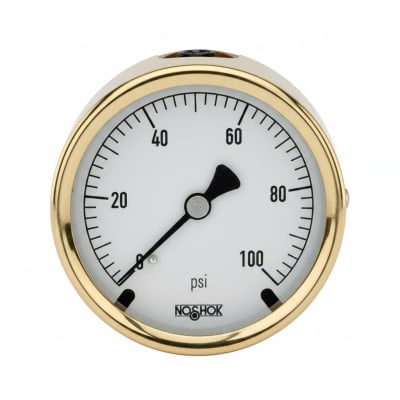 NOSHOK 25-310-100-PSI/BAR-SL
