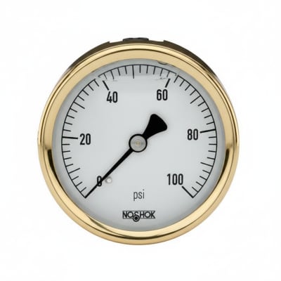 NOSHOK 25-310-100-PSI/BAR-MIP