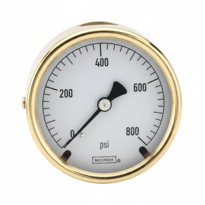 NOSHOK 25-310-100-PSI-SL