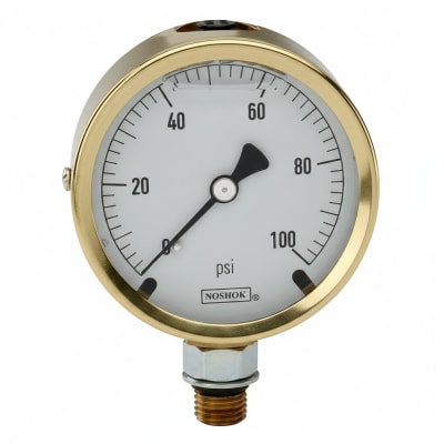NOSHOK 25-310-100-PSI/KG/CM2-MIP-BT8-CC