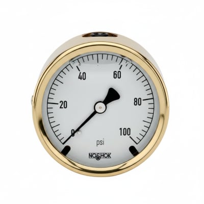 NOSHOK 25-310-100-PSI/BAR-CBU-GY40-BT8