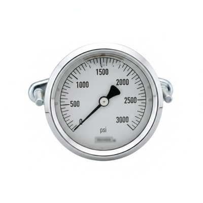 NOSHOK 25-310-100-PSI/KPA-MIP-BFF-BT8