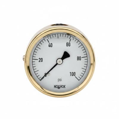 NOSHOK 25-310-100-PSI/KPA-CBU-GY40