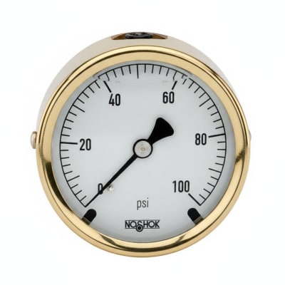NOSHOK 25-310-100-PSI/BAR-MIP-BFF-CC