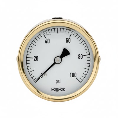NOSHOK 25-310-100-PSI/KPA-BT8