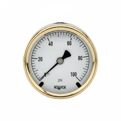 NOSHOK 25-310-30-PSI/BAR-MIP-BT8