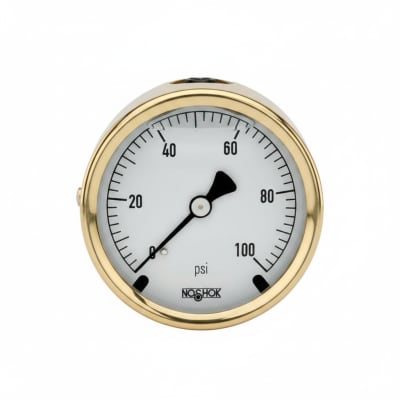 NOSHOK 25-310-30-PSI/BAR-MIP-BFF-BT8-CC