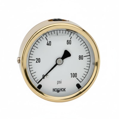 NOSHOK 25-310-30-PSI/KG/CM2-CC