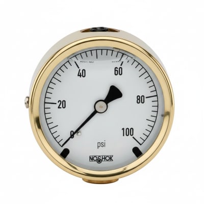NOSHOK 25-310-30-PSI/KG/CM2-MIP-CC