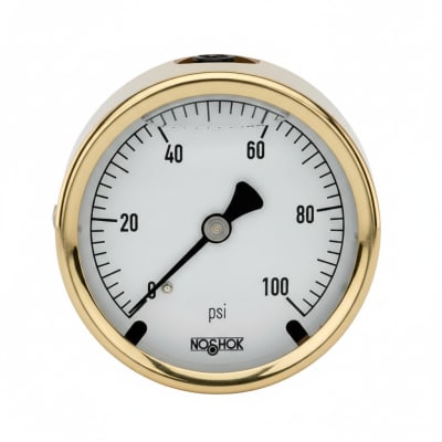 NOSHOK 25-310-30-PSI/KG/CM2-MIP-BFF