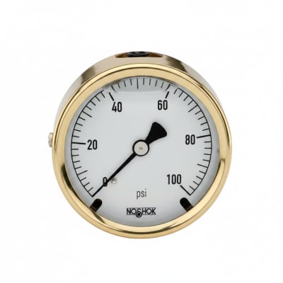 NOSHOK 25-310-30-PSI/KPA-MIP-BT8