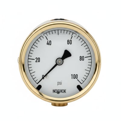 NOSHOK 25-310-30-PSI/KPA-MIP-CC