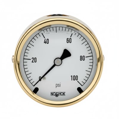 NOSHOK 25-310-30-PSI/KPA-BFF-CC
