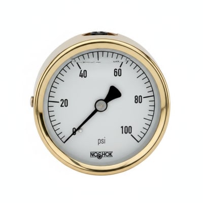 NOSHOK 25-310-30-PSI/KG/CM2-MIP