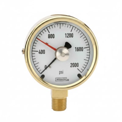NOSHOK 25-310-30-PSI/KG/CM2-GY40-CC
