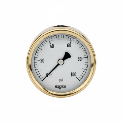 NOSHOK 25-310-30-PSI/KPA-MIP-BFF-BT8-CC