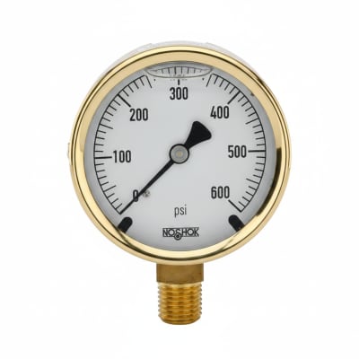 NOSHOK 25-300-10000-PSI/KG/CM2-CFF