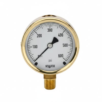 NOSHOK 25-300-6000-PSI/BAR-BFF-MIP-BT8